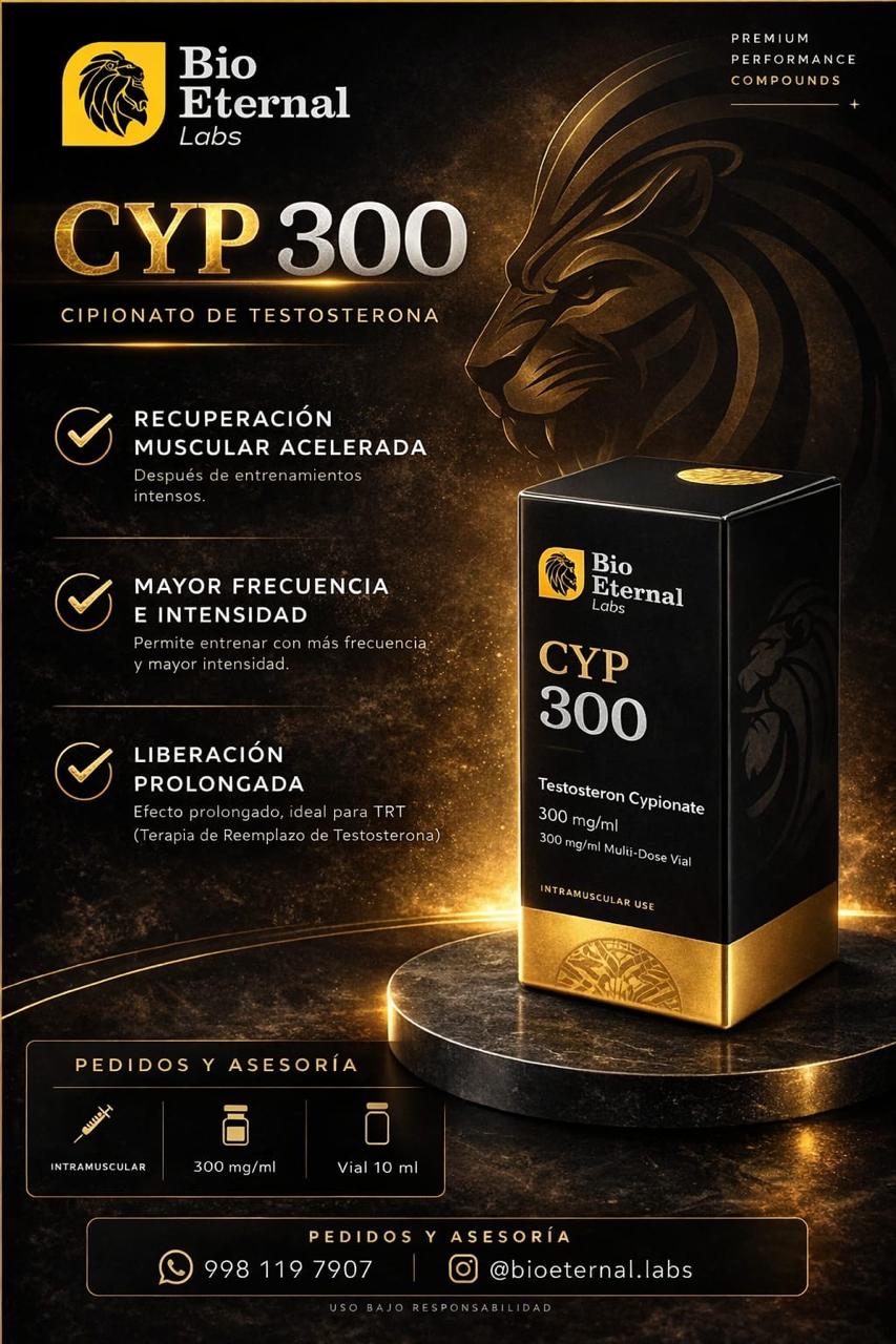 Catálogo 12