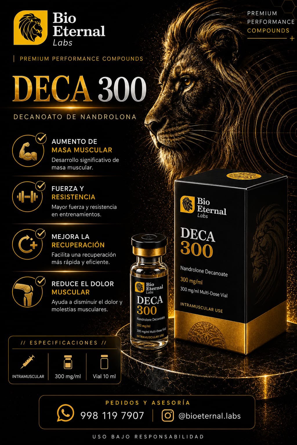 Catálogo 6